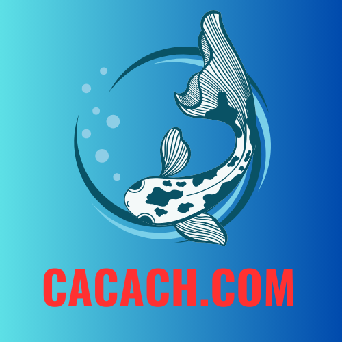 cacach.com